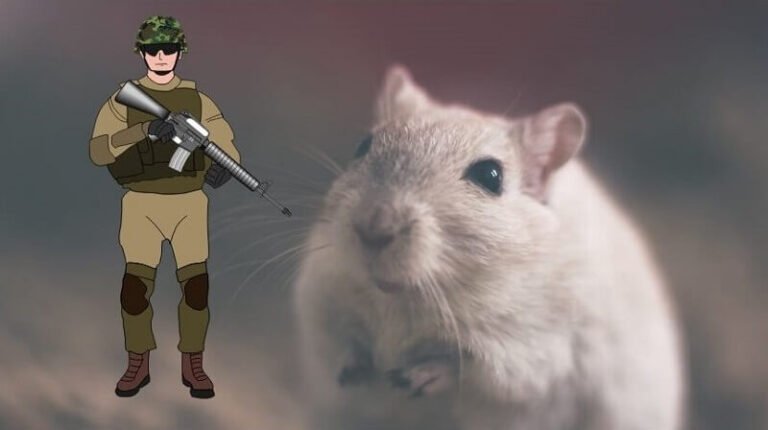 can-you-stop-rats-mice-with-airsoft-guns-airsoft-garrison